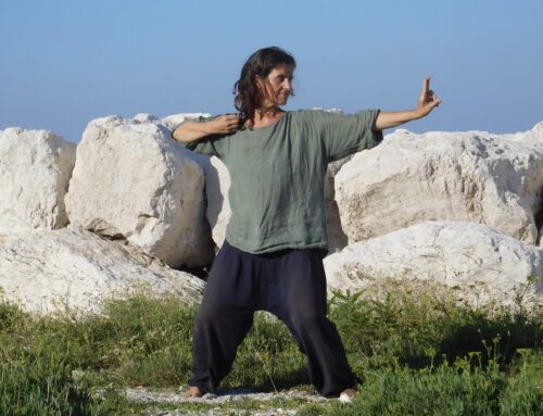 qigong , mercoledì 17.30-19.00